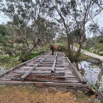 Perth: Bickley Valley Hiking Experience with Morning Tea - Why This Tour Offers Great Value