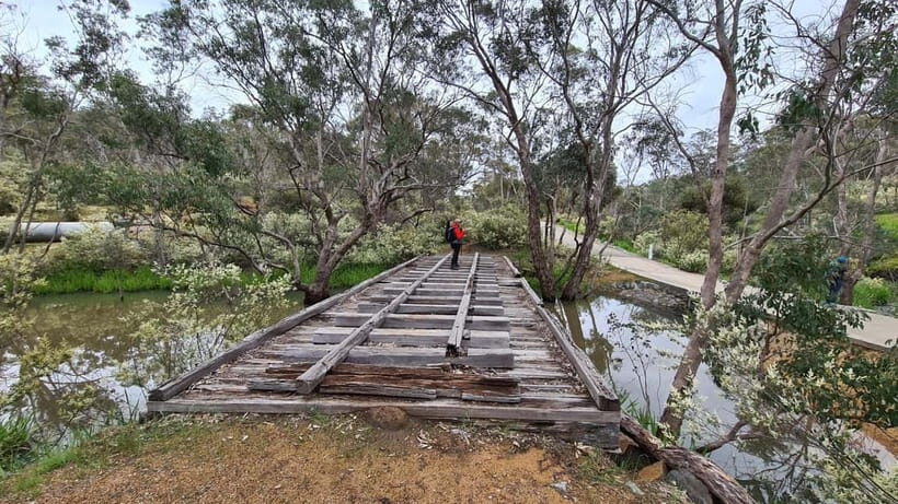Perth: Bickley Valley Hiking Experience with Morning Tea - Why This Tour Offers Great Value