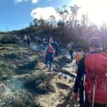 Perth: Darling Range Twin Peaks Hike with Morning Tea - The Terrain and Physical Requirements