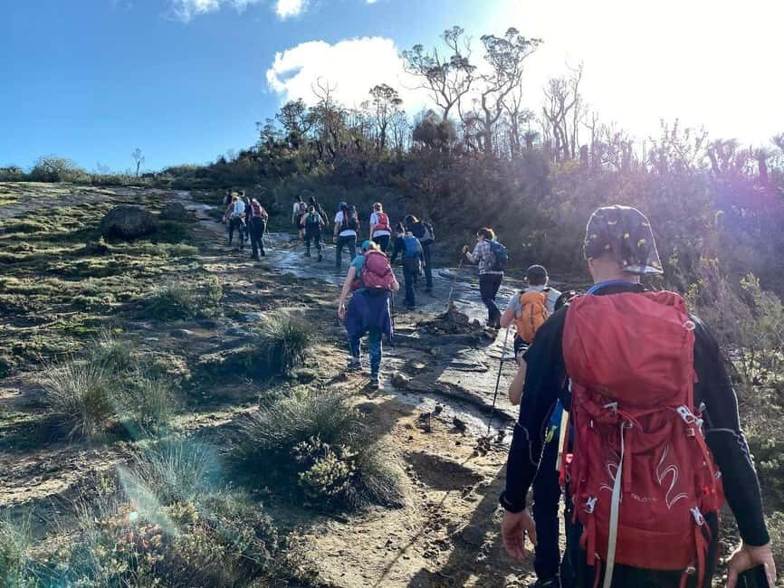 Perth: Darling Range Twin Peaks Hike with Morning Tea - The Terrain and Physical Requirements