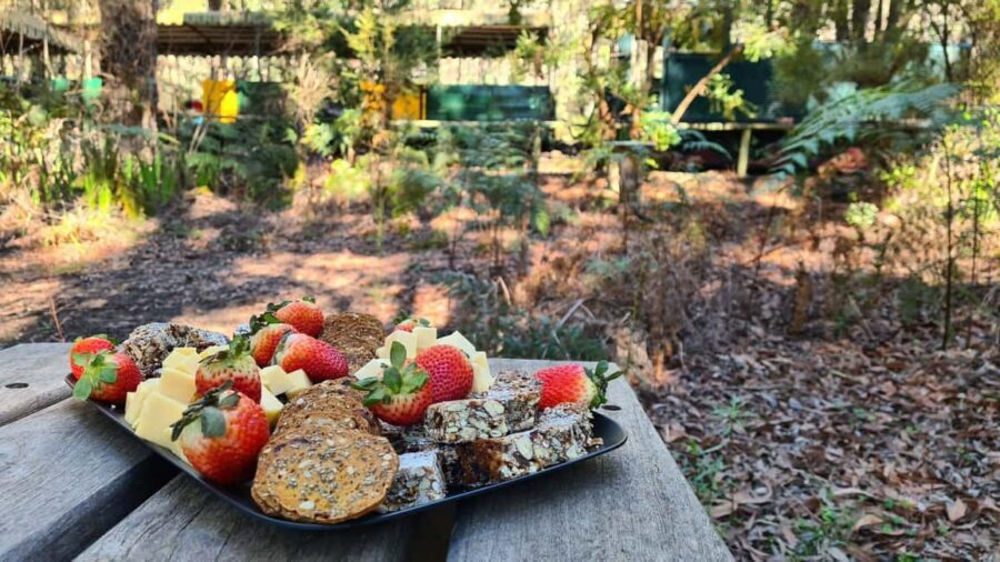 Perth: Dwellingup Train, Trails, and Woodfired Delights Tour - The Itinerary in Detail
