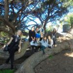 Perth: Full Day Swan Valley Cruise & Wine Tasting With Lunch - Exploring Swan Valley — The Coach Tour
