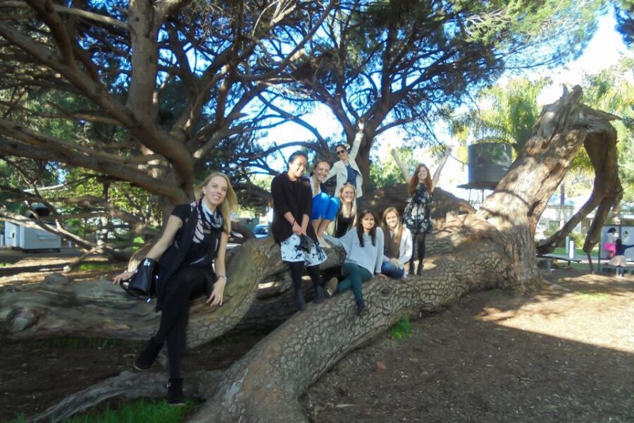 Perth: Full Day Swan Valley Cruise & Wine Tasting With Lunch - Exploring Swan Valley — The Coach Tour