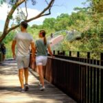 Perth: Kings Park Botanicals & Beyond Guided Hike - A Closer Look at the Itinerary