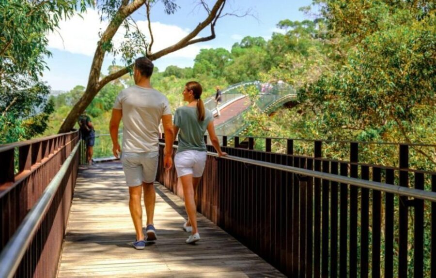 Perth: Kings Park Botanicals & Beyond Guided Hike - A Closer Look at the Itinerary