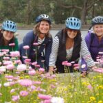 Perth: Kings Park Wildflower Festival Guided Bike Tour - Practical Details and Value