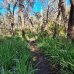 Perth: Kitty's Gorge Waterfall Hike - FAQs
