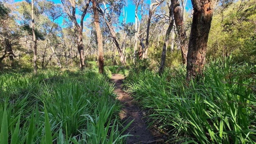 Perth: Kitty's Gorge Waterfall Hike - FAQs