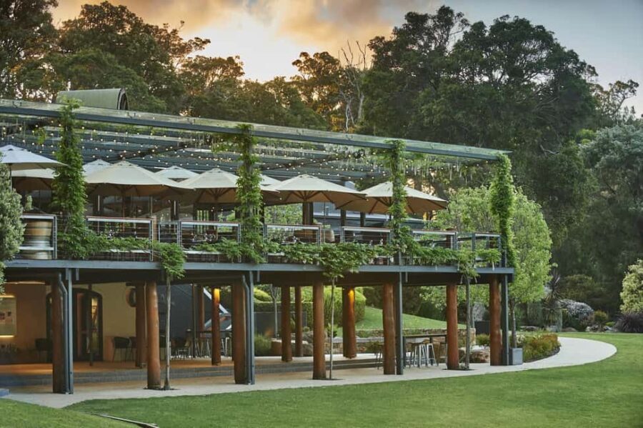 Perth: Margaret River Scenic Flight & Wine Tasting Tour - An In-Depth Look at the Experience