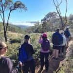Perth: Perth Hills Hike, Wine & Dine - The Itinerary Breakdown