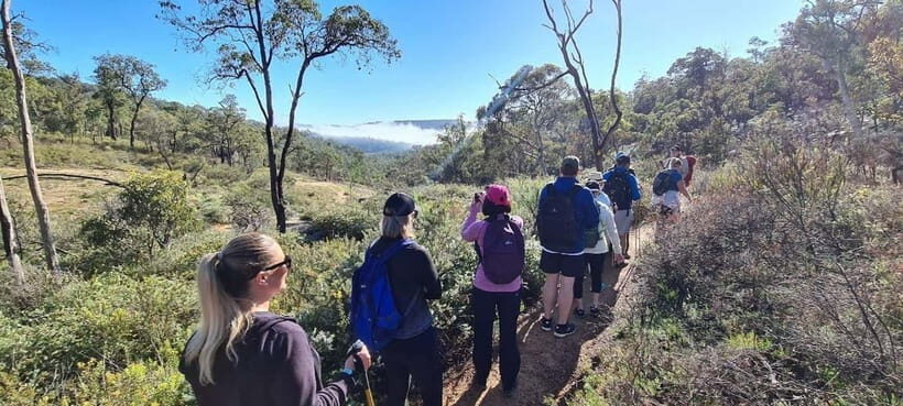 Perth: Perth Hills Hike, Wine & Dine - The Itinerary Breakdown