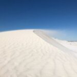 Perth: Pinnacles Desert Bush Walk Guided Tour with Lunch - Wildlife Spotting and Cultural Narratives