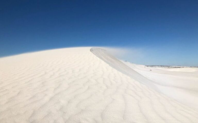 Perth: Pinnacles Desert Bush Walk Guided Tour with Lunch - Wildlife Spotting and Cultural Narratives