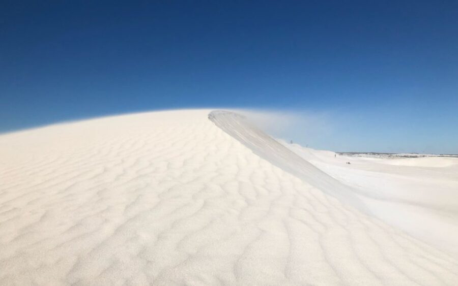 Perth: Pinnacles Desert Bush Walk Guided Tour with Lunch - Wildlife Spotting and Cultural Narratives