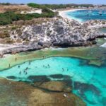 Perth: Rottnest Island Ferry, Bike, Coffee & Lobster Roll - The Details of the Tour Experience