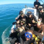 Perth: Swim with Wild Dolphins Tour - The Authenticity and Respect for Marine Life