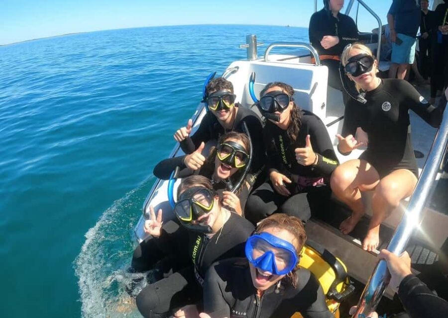 Perth: Swim with Wild Dolphins Tour - The Authenticity and Respect for Marine Life