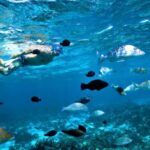 Perth to Exmouth with Monkey Mia & Ningaloo Reef - Final Thoughts