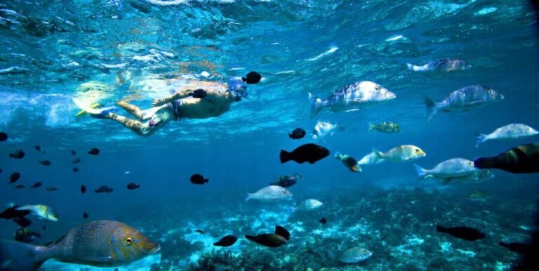 Perth to Exmouth with Monkey Mia & Ningaloo Reef - Final Thoughts