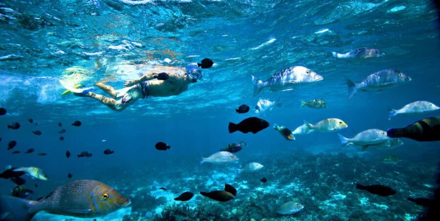 Perth to Exmouth with Monkey Mia & Ningaloo Reef - Final Thoughts