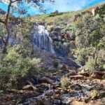 Perth: Waterfalls, Wildflowers & Wandoo Hiking Experience - Final Thoughts