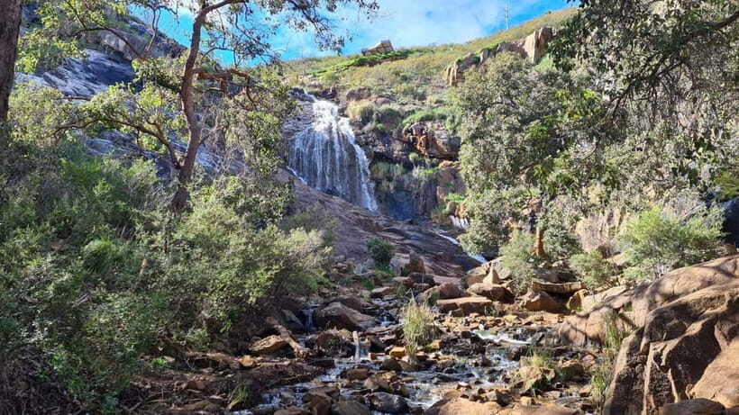 Perth: Waterfalls, Wildflowers & Wandoo Hiking Experience - Final Thoughts