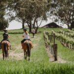 PETALUMA: VIP Equestrian & Private Wine Lunch with Olympian - Practical Details