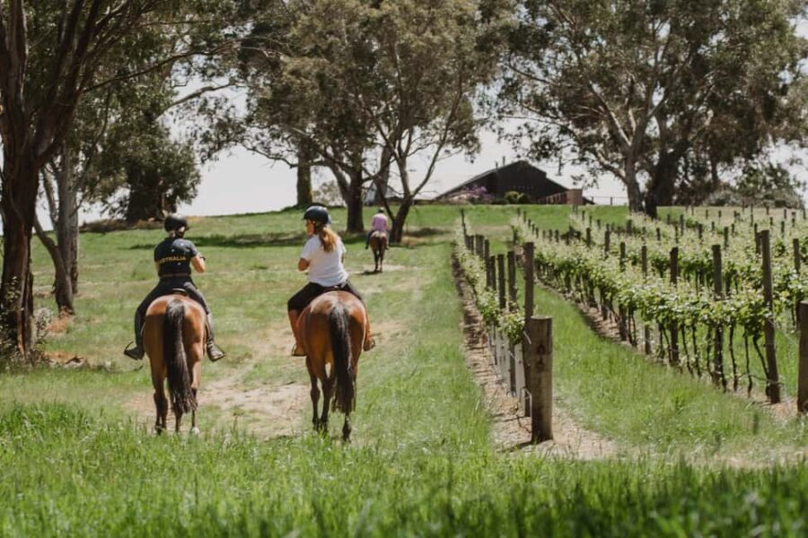 PETALUMA: VIP Equestrian & Private Wine Lunch with Olympian - Practical Details