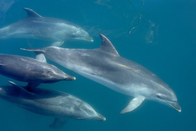 Phantom Sailing Bay of Islands - The Practicalities: What to Know Before You Book