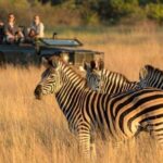 Phezulu Safari Park 1/2 Day Tour From Durban - Who Is This Tour Best For?