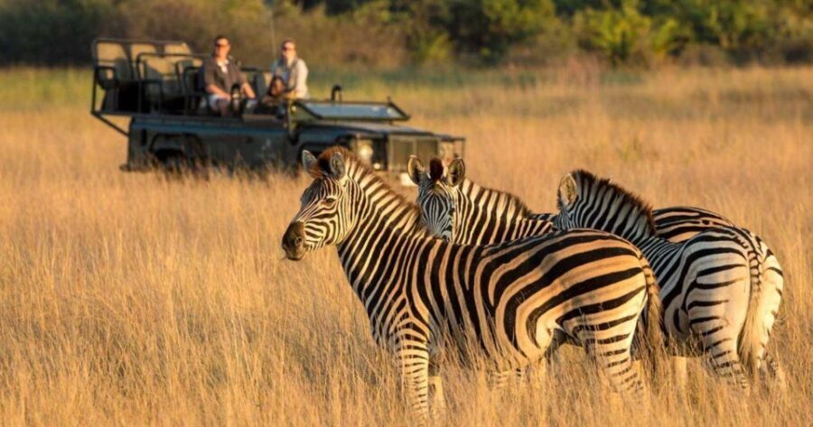 Phezulu Safari Park 1/2 Day Tour From Durban - Who Is This Tour Best For?