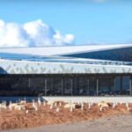 Phillip Island Driving Tour with an APP - The Penguin Parade and Marine Exploration