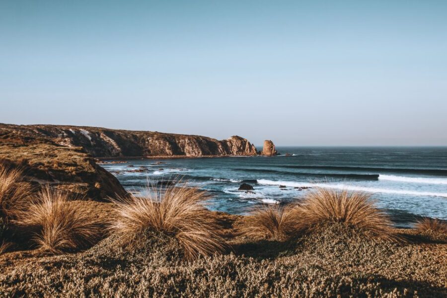 Phillip Island: Hike and Penguin Parade - 8 pax Small Tour - An In-Depth Look at the Itinerary