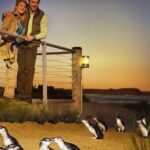 Phillip Island & Penguin Parade Afternoon Eco Tour from Melbourne - Who Would Love This Tour?