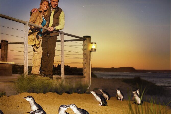 Phillip Island & Penguin Parade Afternoon Eco Tour from Melbourne - Who Would Love This Tour?