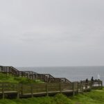 Phillip Island Penguin Parade Private Tour - The Itinerary Breakdown
