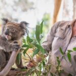 Phillip Island Penguins & Wildlife Day Tour from Melbourne - Why This Tour Offers Excellent Value