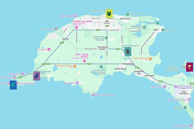 Phillip Island Private Tour: Penguin Parade & Wildlife Day - Practical Aspects and Value