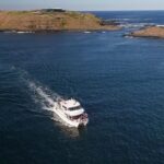 Phillip Island Seal-Watching Cruise - Why This Tour Delivers Great Value