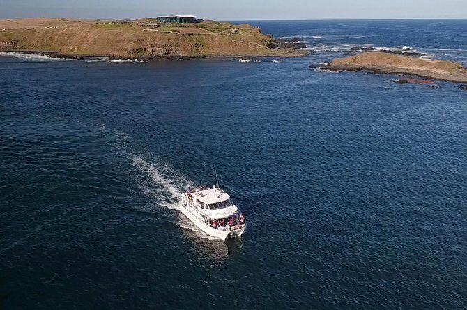 Phillip Island Seal-Watching Cruise - Why This Tour Delivers Great Value