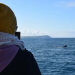 Phillip Island: Whale Watching Boat Tour - Is it Worth the Price?