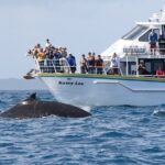 Phillip Island Whale Watching Tour - The Experience in Detail