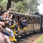 Pick Up from City | Steam Train and Penguin Parade Day Tour - Who Will Love This Tour?