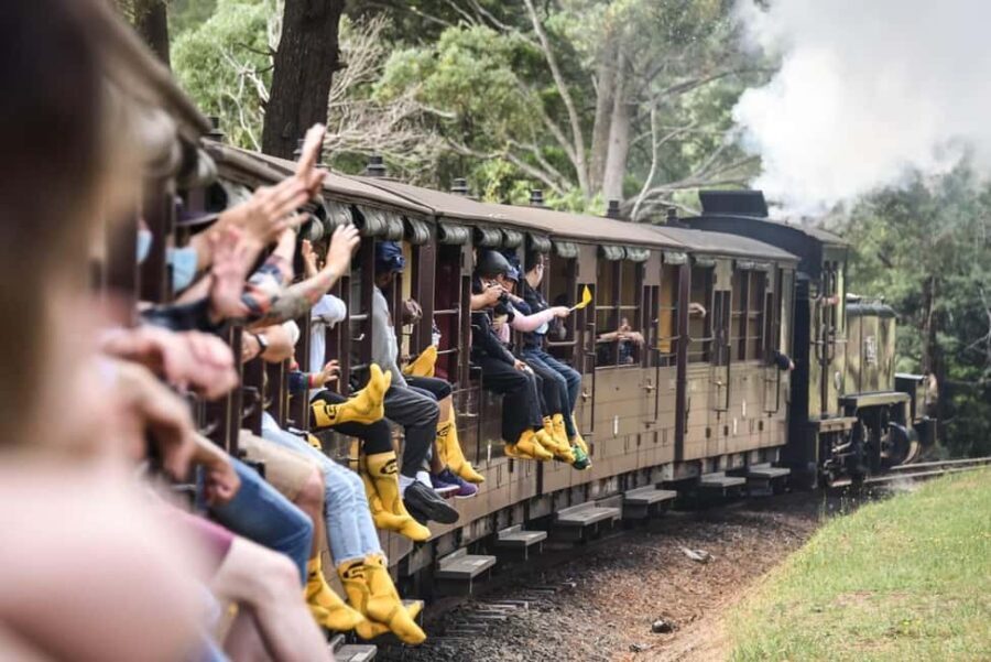 Pick Up from City | Steam Train and Penguin Parade Day Tour - Who Will Love This Tour?