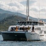 Picton Morning Guided Kayak with Afternoon Boat Cruise Tour - The highlight: a seafood cruise with tasting and wine options