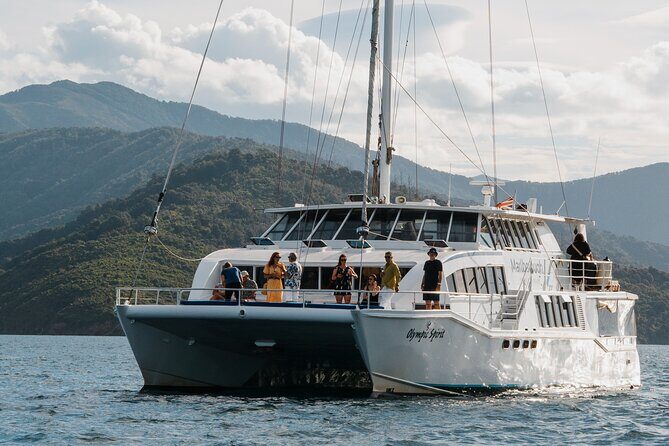 Picton Morning Guided Kayak with Afternoon Boat Cruise Tour - The highlight: a seafood cruise with tasting and wine options