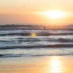 Piha Beach & Wilderness Private Tour: Auckland Half Day Trip - Why This Tour Works Well
