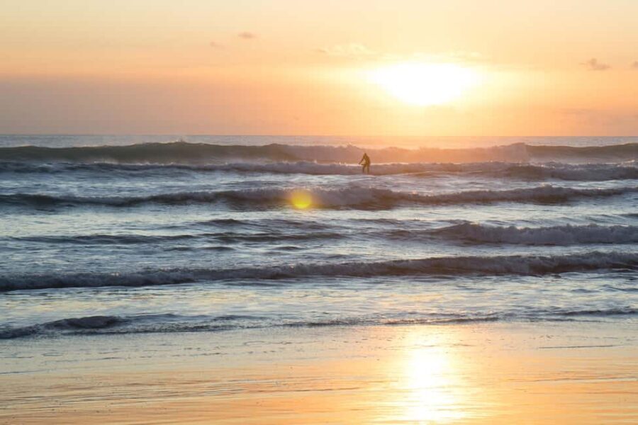 Piha Beach & Wilderness Private Tour: Auckland Half Day Trip - Why This Tour Works Well
