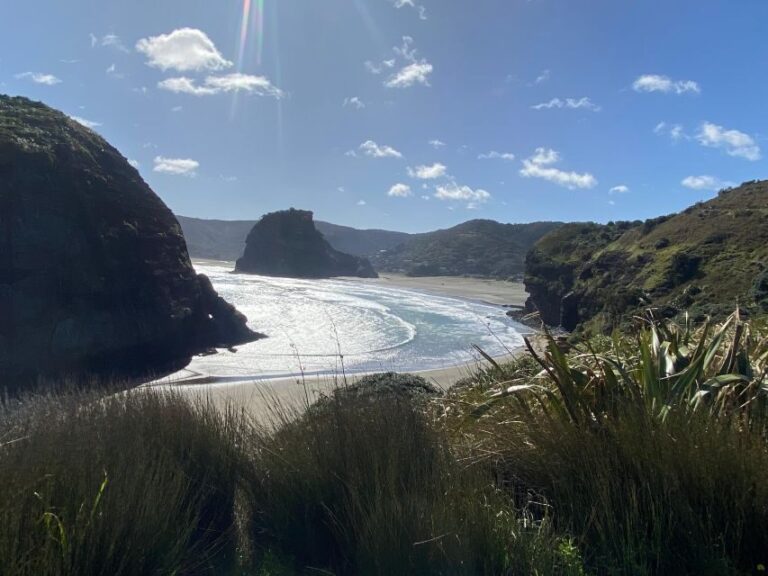 Piha & Karekare - Out of Auckland Private Tour - Why This Tour Offers Great Value