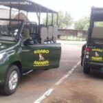 Pilanesberg : Evening Night Safari Drive - Who Will Love This Tour?